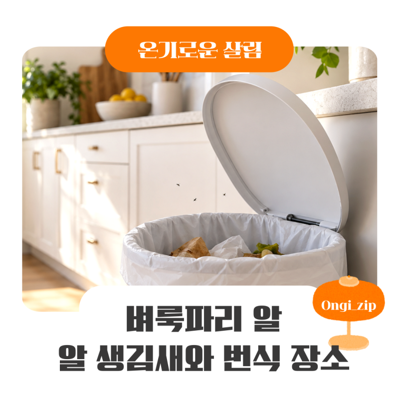 벼룩파리 알 생김새와 번식 장소, 계속 나온다면 여기부터 보세요