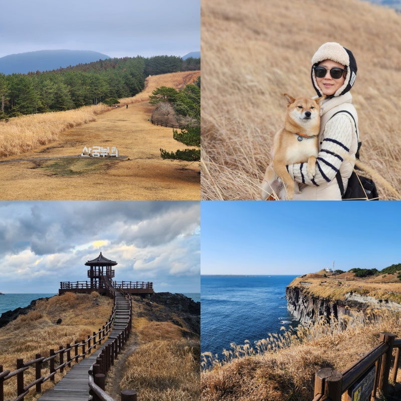 "실패 없는 제주도 가을여행" 9월 10월 제주도 가볼만한곳 베스트5