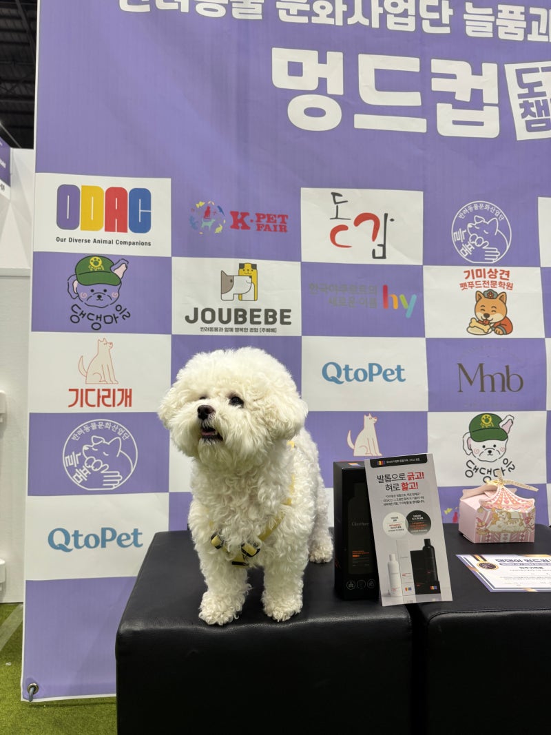 수원메쎄 펫페어 후기 AK백화점 3시간 무료주차 꿀팁