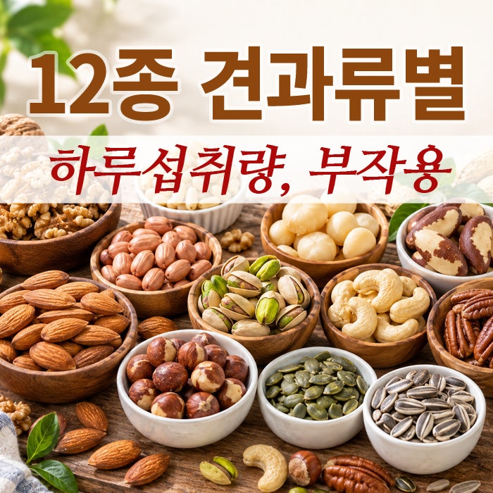 견과류 12종 하루 섭취량 총정리｜호두·아몬드·땅콩·브라질너트·은행 많이 먹으면 생기는 ....