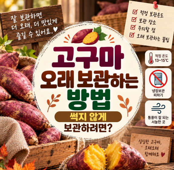 고구마 오래 보관하는 방법｜썩지 않게 보관하려면?