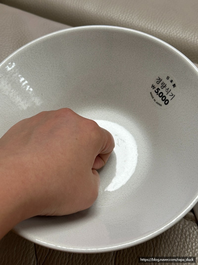 다이소 도자기 면그릇 일본식 경량식기 구매후기