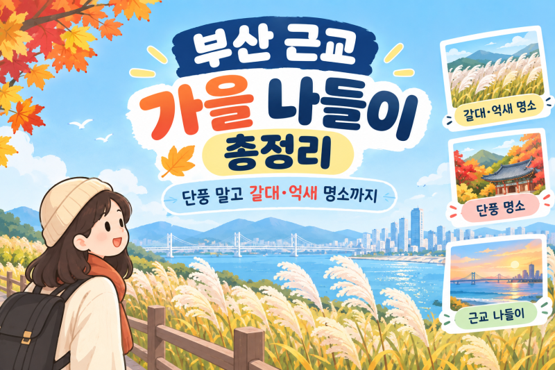 부산 근교 아기랑 가을 나들이 총정리 | 단풍 말고 갈대·억새 명소까지