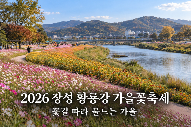 # 2026 장성 황룡강 가을꽃축제 일정과 관람 팁｜꽃길 따라 물드는 가을