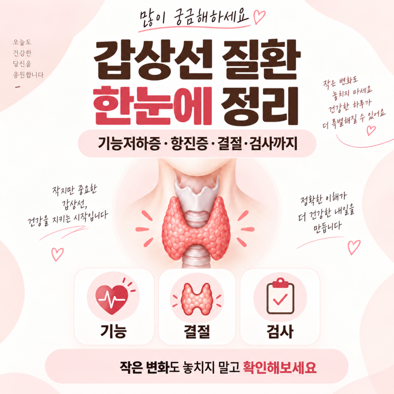 갑상선 질환 증상 총정리 기능저하증 항진증 결절 암 차이는?