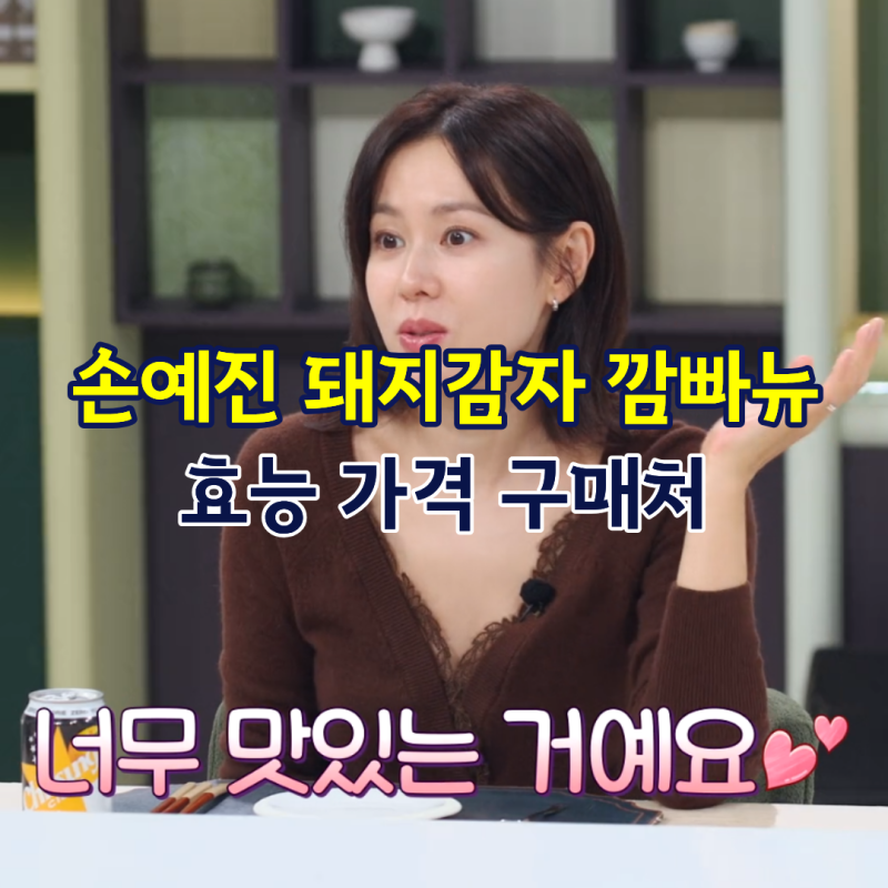 손예진 돼지감자 깜빠뉴 효능 가격 구매처
