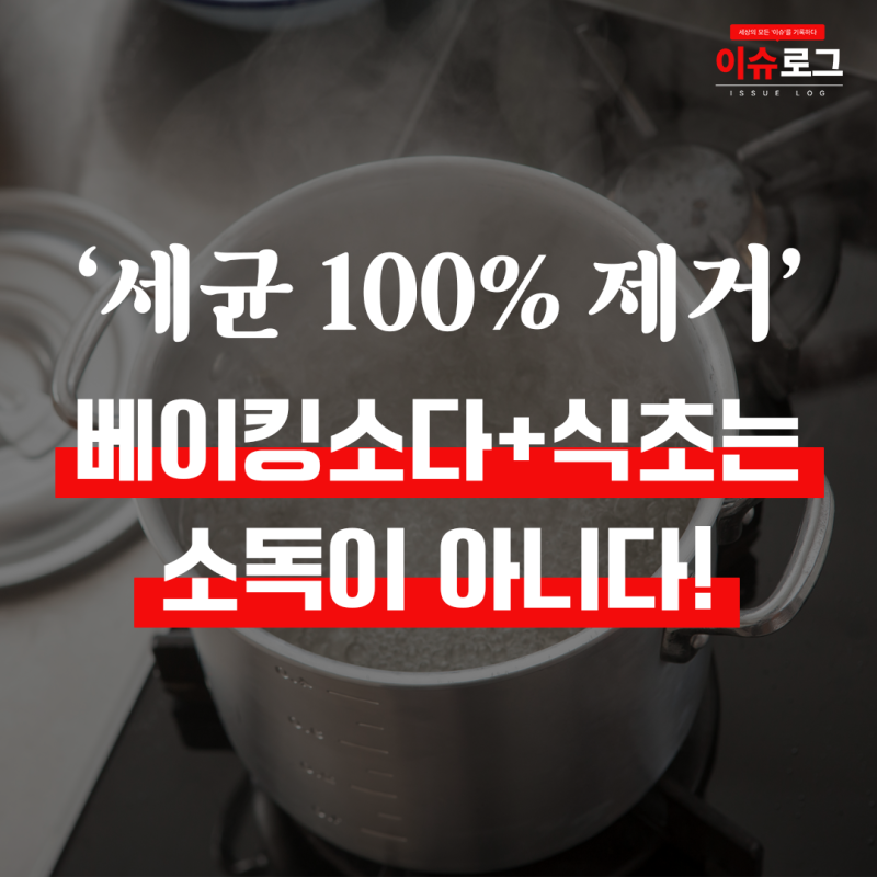베이킹소다+식초는 소독이 아닙니다｜주방 소독 제대로 하는 법