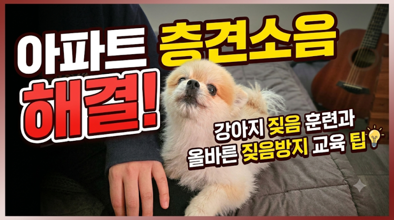 아파트 층견소음 해결! 강아지 짖음 훈련과 올바른 짖음방지 교육