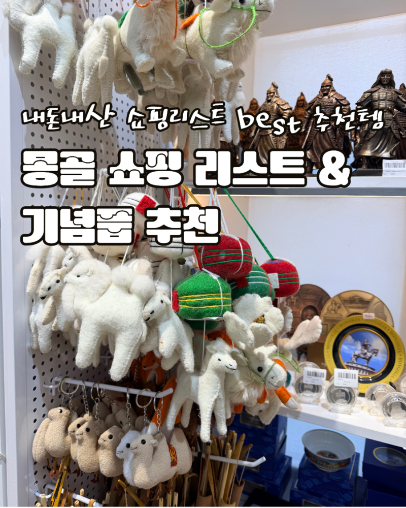 [몽골 여행] 직접 사 오고 먹어본 몽골 쇼핑 리스트 & 기념품 추천