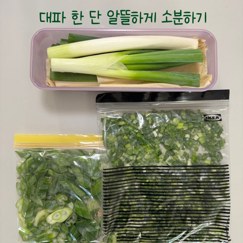 대파 보관법｜물러지지 않게 냉장·냉동 보관하는 방법