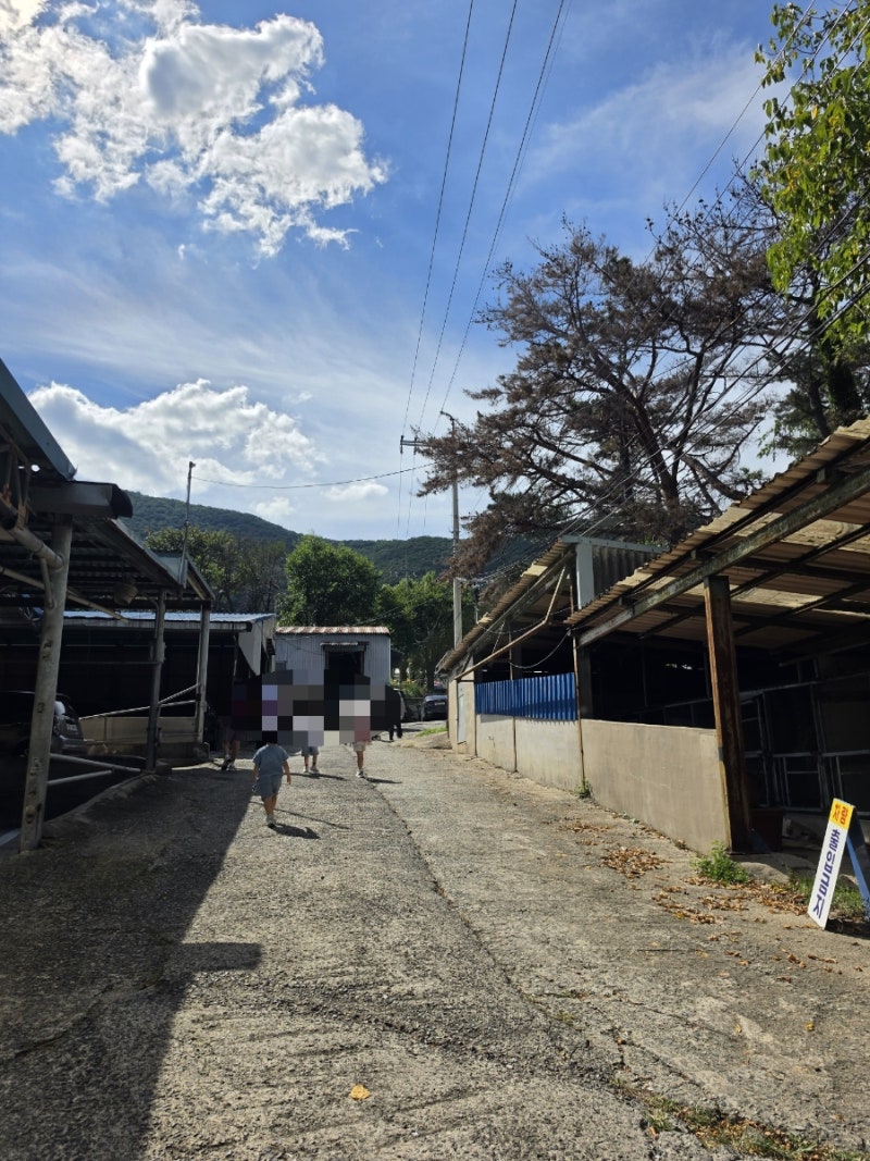 [내돈내산]1박2일 울산 울주 아이랑 가족여행