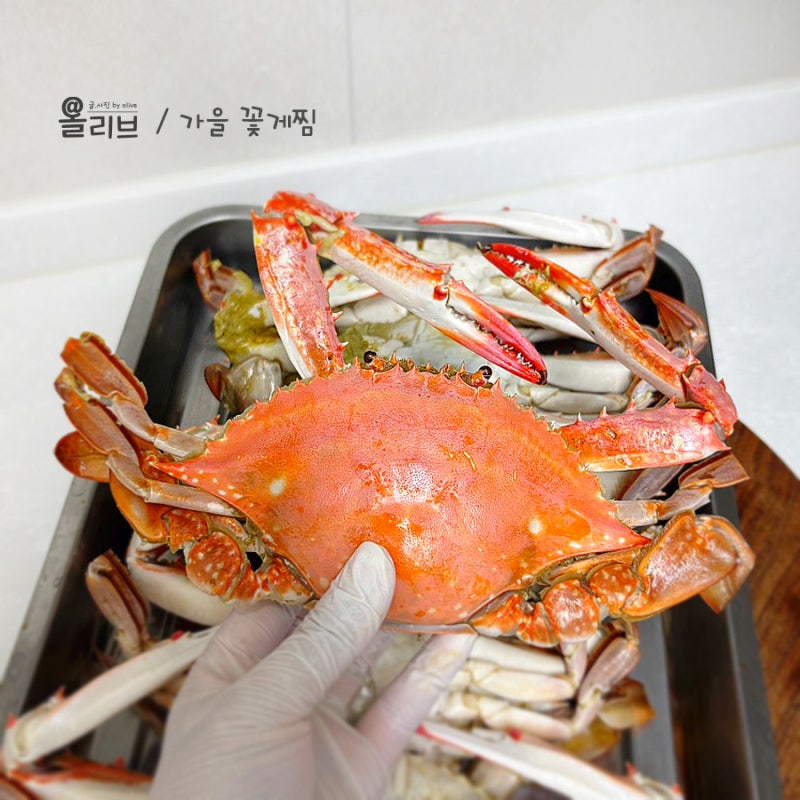 가을 수꽃게 제철, 살 꽉 찬 활꽃게 맛있게 찌는 법
