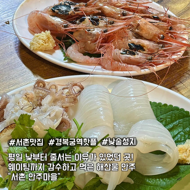 경복궁역 서촌 안주마을 평일 웨이팅 성공! 단새우회 총알한치회 솔직후기