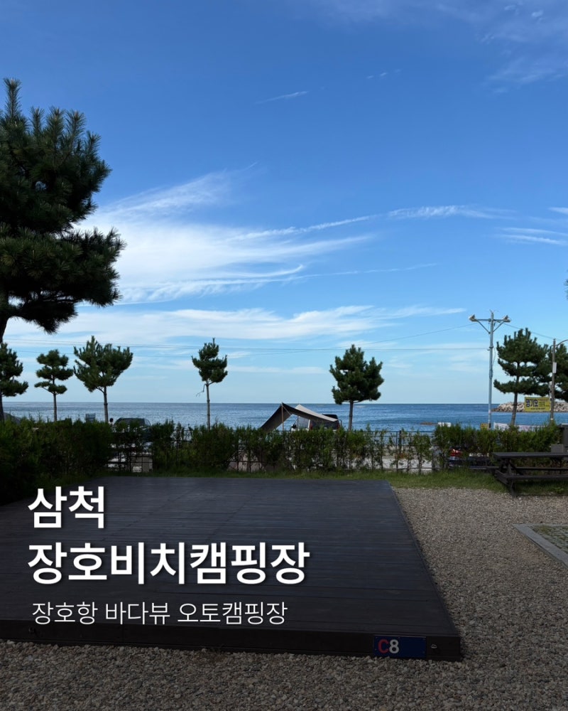 삼척 장호비치캠핑장 후기｜장호항 바다뷰 오토캠핑장 가족캠핑 추천