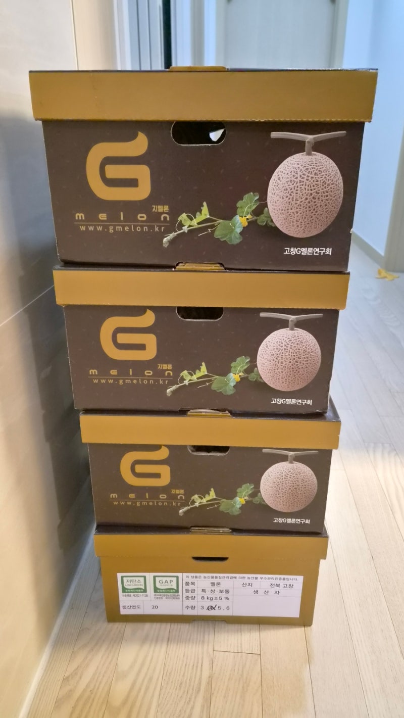 [추석 선물 추천] 황토의 기운을 듬뿍 받은 고창 멜론! "맛도 기가 막히고, 맛있게 먹는 법까....