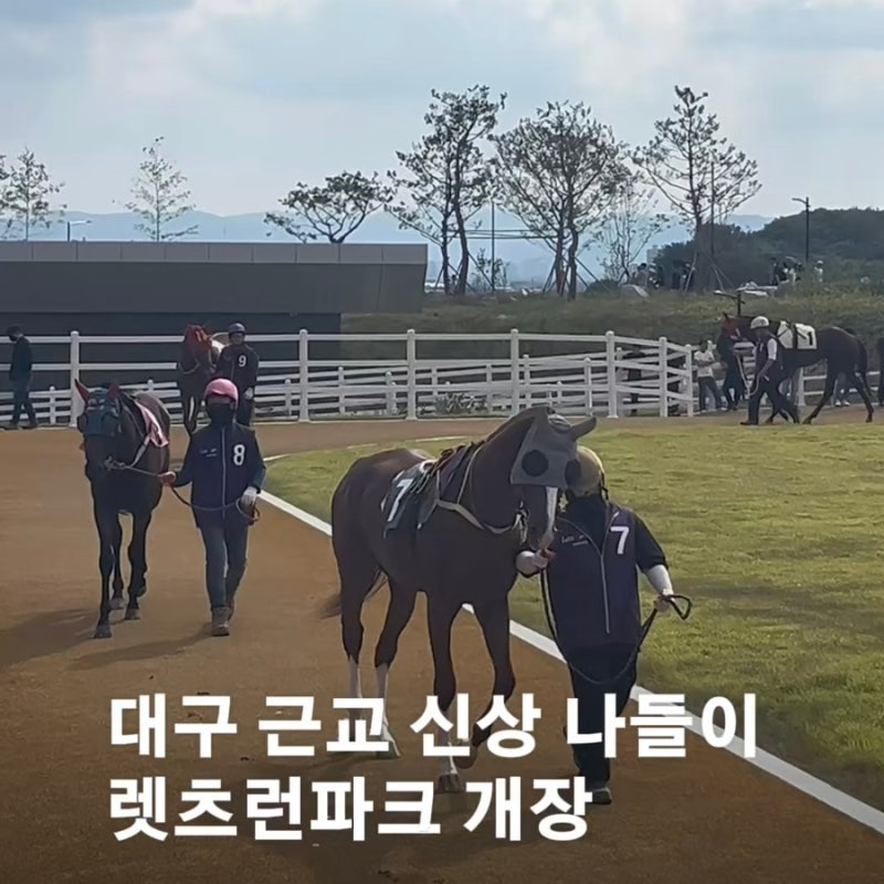 [경북/영천] 대구 근교 가볼만한 곳 영천 렛츠런파크 영천 경마장