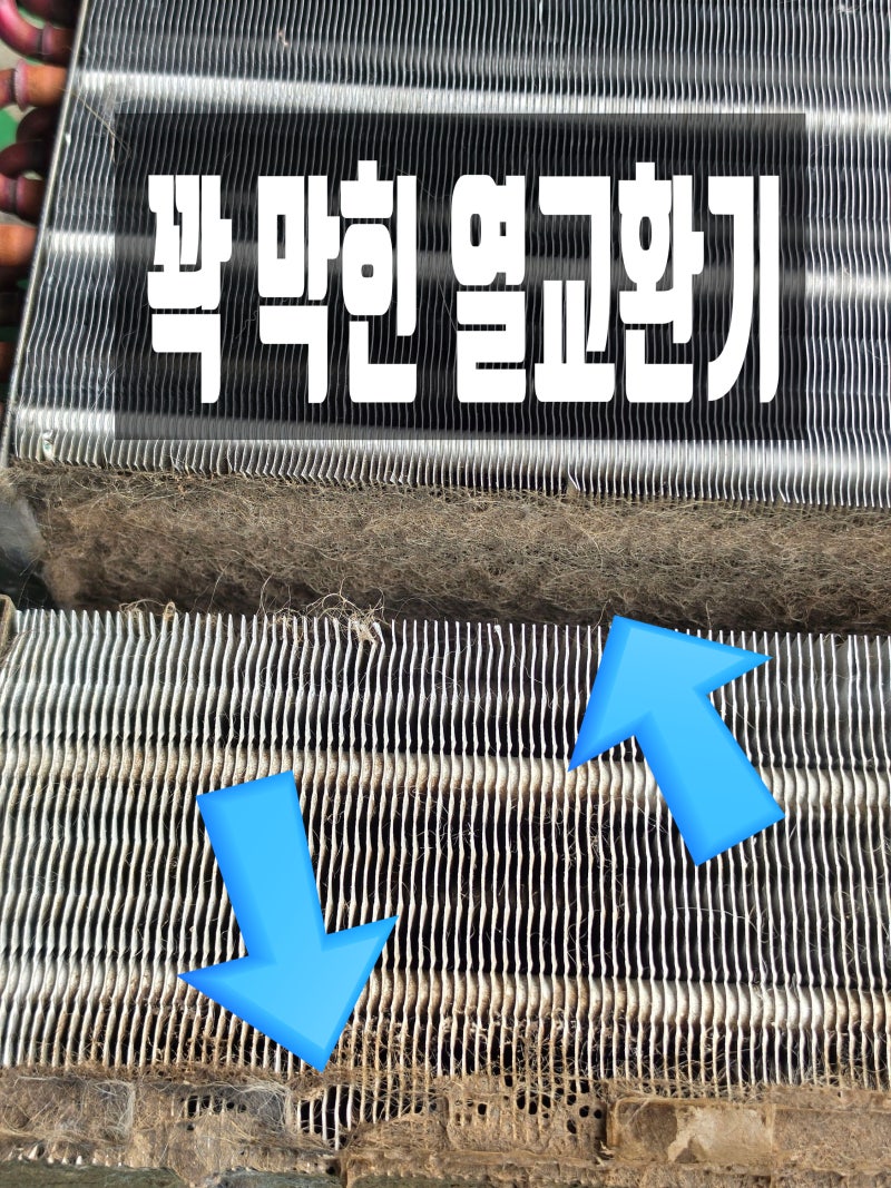 엘지 건조기청소 LG건조기 시간이 길어진 이유와 진짜 해결법