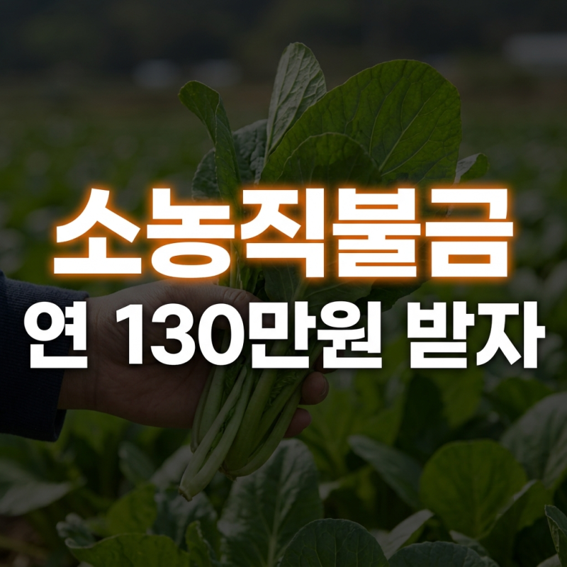 소농 직불금 금액과 자격 총정리 (+신청방법)