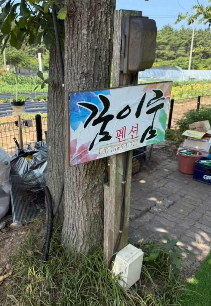 [태안] 반려견과 함께한 2박3일 가족여행& 꿈이룸펜션