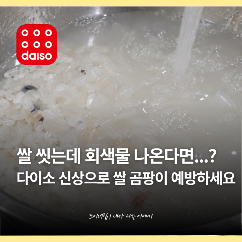 "쌀통에 이거 하나 넣었어요" 다이소 신상 살림템으로 쌀 곰팡이 박멸하는 법