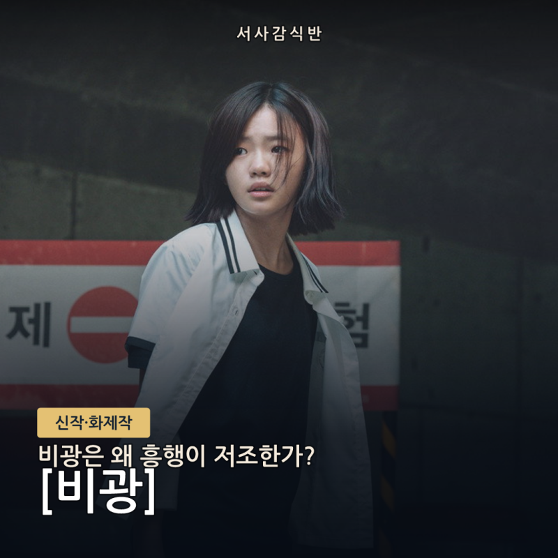 류승룡 하지원 비광 흥행 부진, 5년 공백·톤·경쟁작을 함께 보면