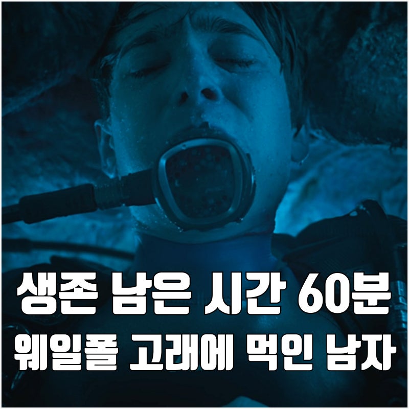 생존 남은 시간 60분 영화 웨일폴 고래에 먹힌 남자 개봉일 긴장감 대박 실화 아님