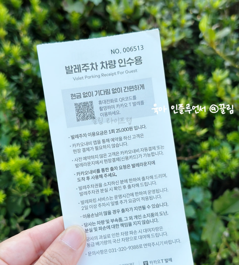 에버랜드 주차장 어디가 좋을까? 주차요금과 발렛파킹 꿀팁