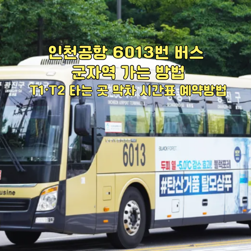 인천공항 6013번 버스 군자역 가는 방법｜T1·T2 타는 곳 막차 시간표 예약방법