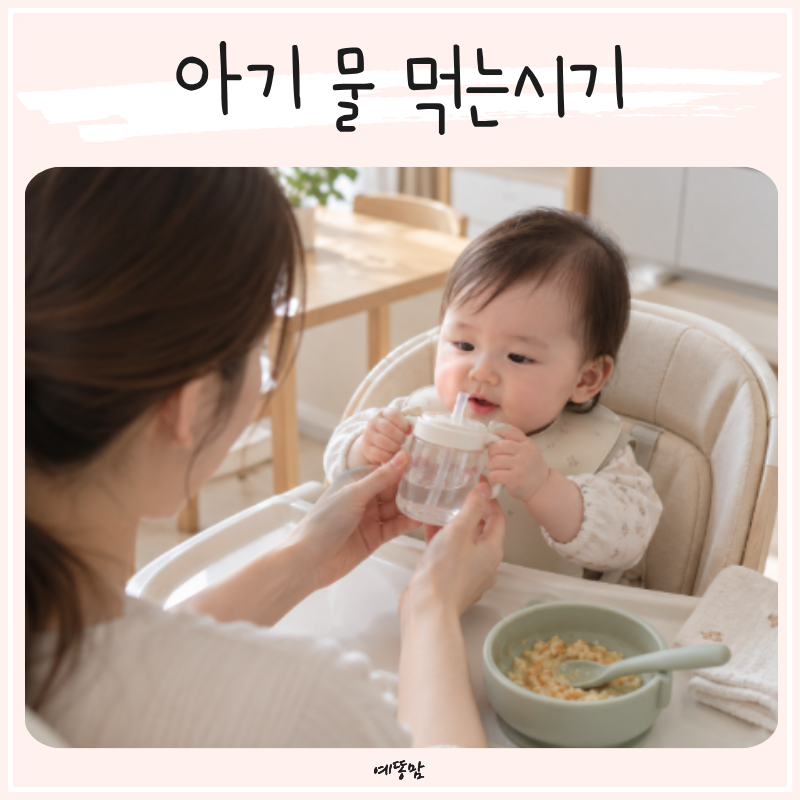신생아 물 먹여도 될까? 아기물 먹는시기와 6개월 아기보리차 보관까지 정리