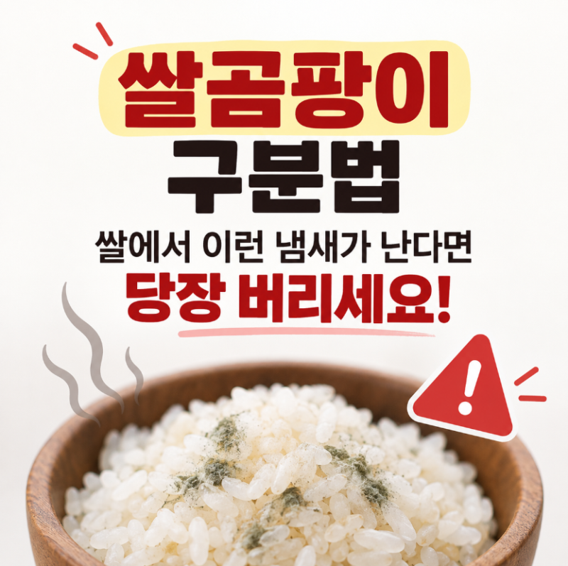 쌀곰팡이 구분법 쌀에서 이런 냄새가 난다면 당장 버리세요!