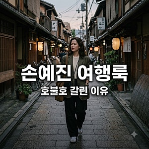 손예진 일본 여행룩 호불호 갈린 이유? 프리피플 하렘팬츠 코디 분석