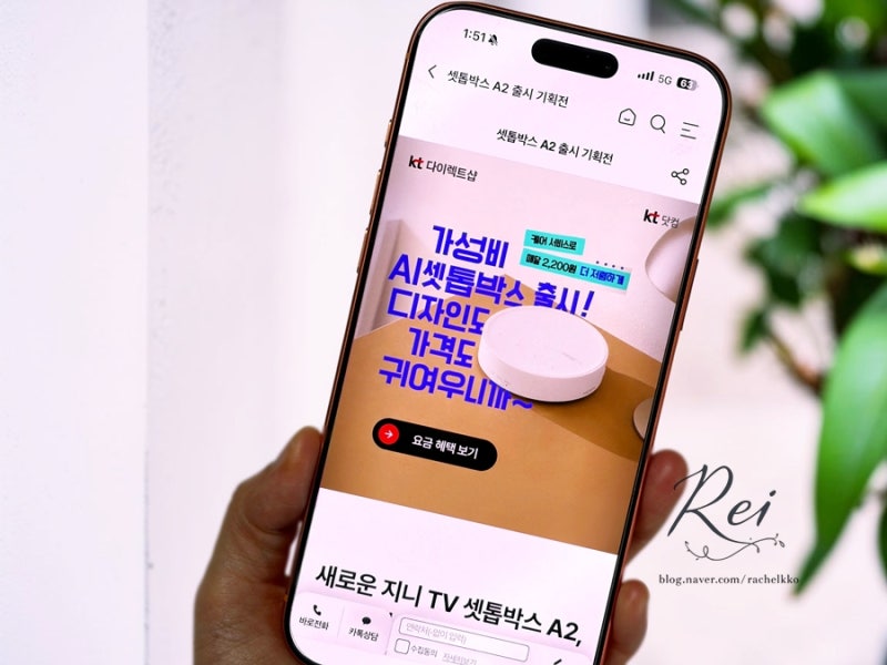 가성비 AI 셋톱박스 등장! 지니 TV 셋톱박스A2 기능, 요금제, 할인혜택정리 오직 KT다이렉트샵....