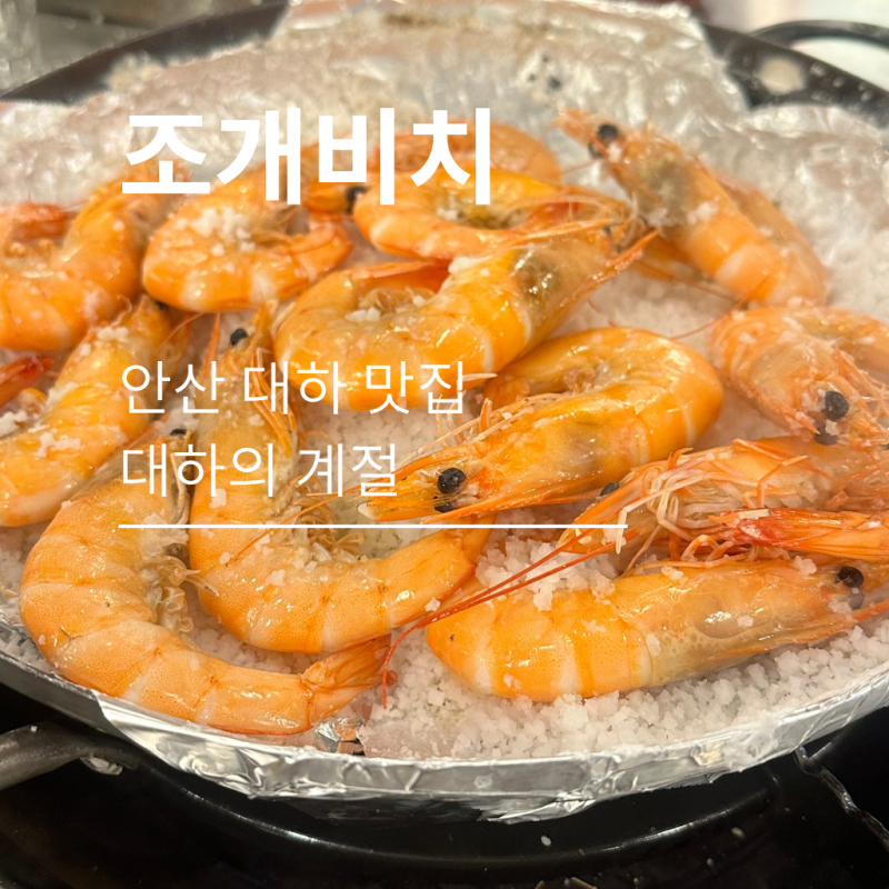 안산 대하 맛집 조개비치 안산점, 대하의 계절 대하구이 새우소금구이 해물라면 무한리필