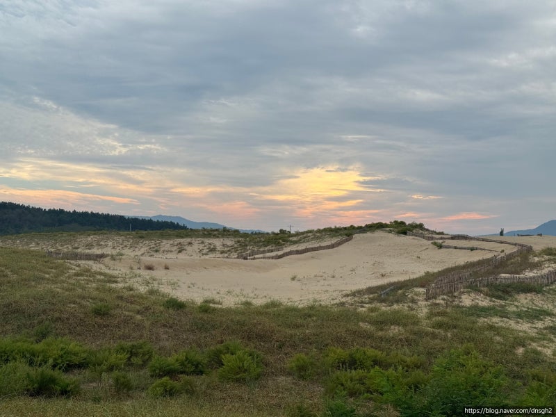 Taean Travel: Sinduri Coastal Sand Dunes Review / Parking and Visiting Hours Guide