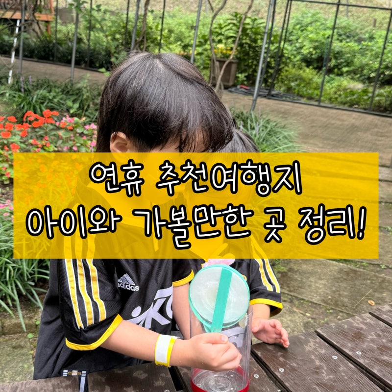 아이와 어디 가지? 경북 가족 나들이 추천장소｜경주·안동·영덕·성주