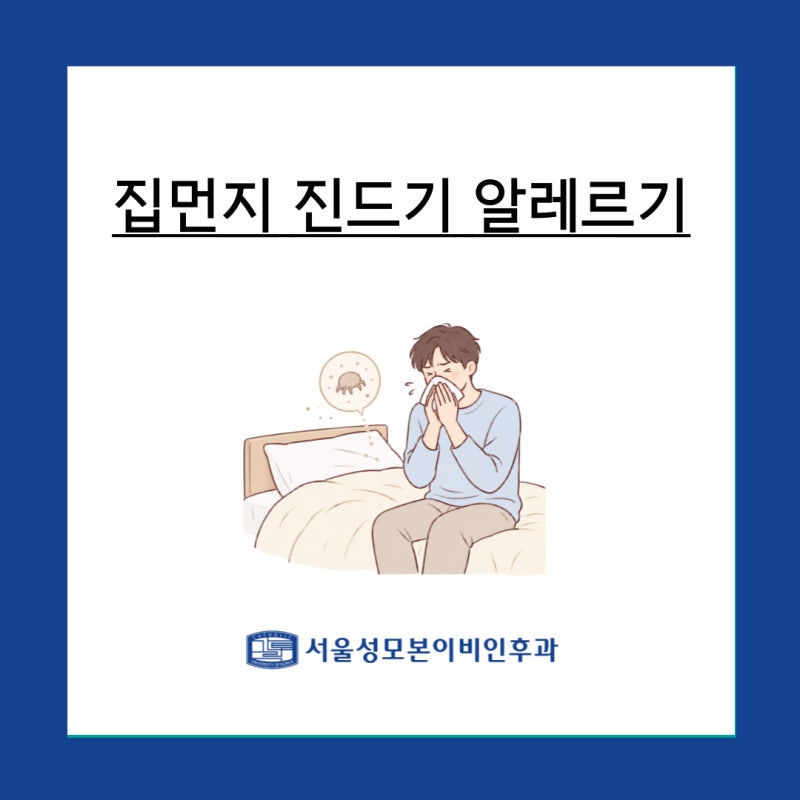 집먼지 진드기 알레르기 치료｜라이스정 복용방법과 생활관리