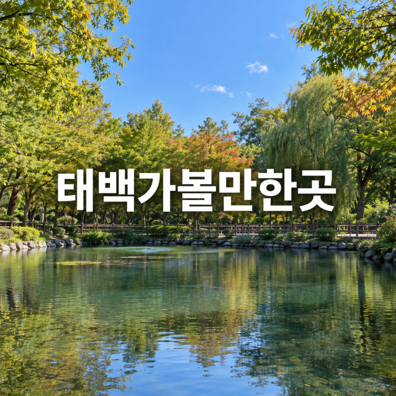 태백가볼만한곳 하루에 잇는 발원지·동굴·탄광마을 여행 코스