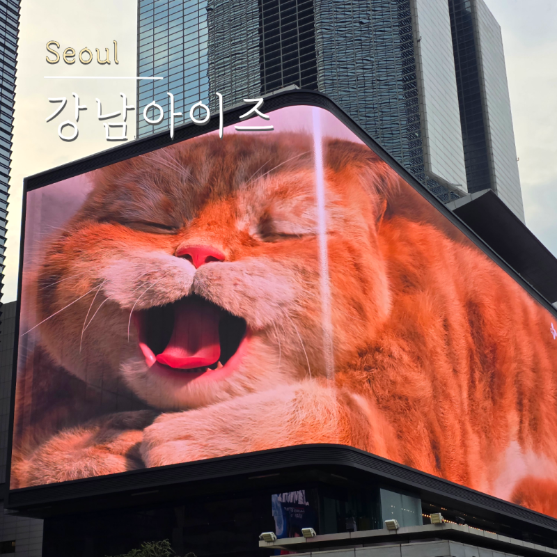 강남아이즈 X 코엑스 일대 가볼만한 곳 서울 여행 서울 산책 겸 미디어아트도 구경