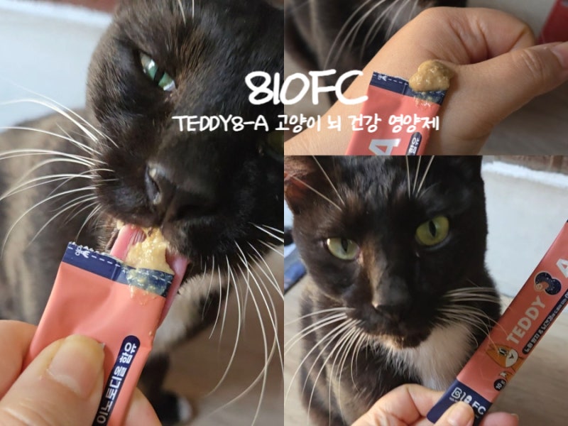 810FC 고양이뇌건강영양제 TEDDY8-A｜길냥이 조탄빵도 잘 먹는 츄르 영양제
