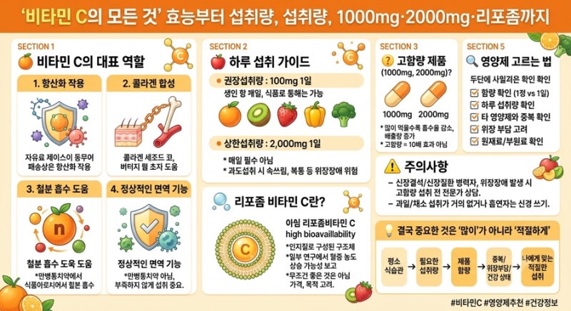비타민C의 모든 것 (효능부터 섭취량, 1000mg·2000mg·리포좀까지)