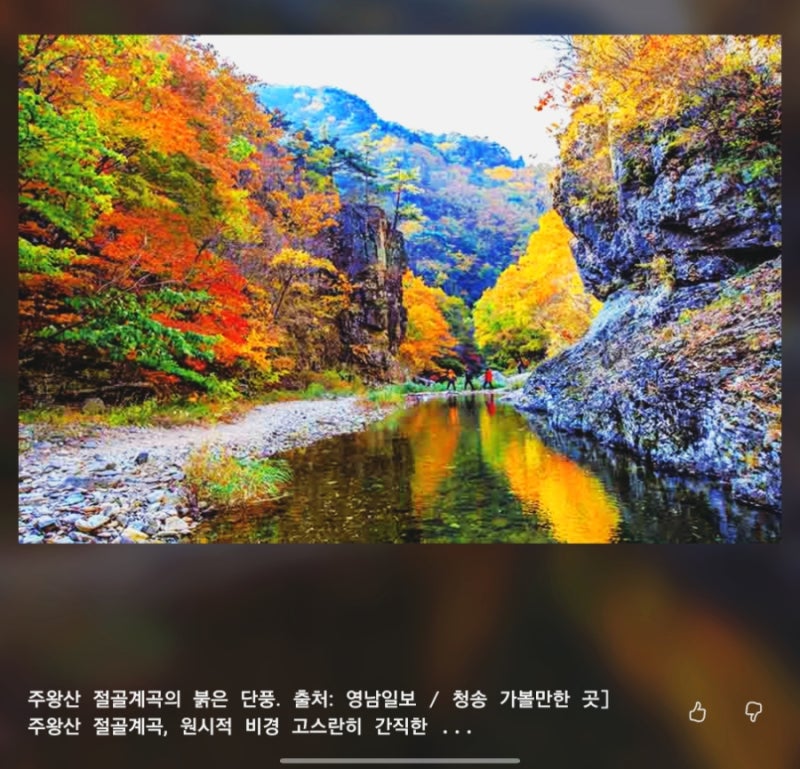 [대한민국 대표 단풍명소] 5. 청송 주왕산 절골