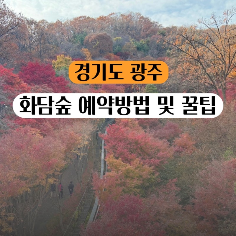 2026 가을 단풍 화담숲 예약 방법 | 취소표 모노레일코스 커피반입 주차 맛집 등 꿀팁정보 총....