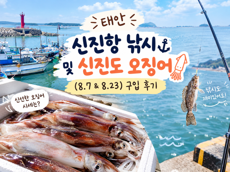 [태안] 신진항 낚시포인트와 신진도 오징어 시세 후기