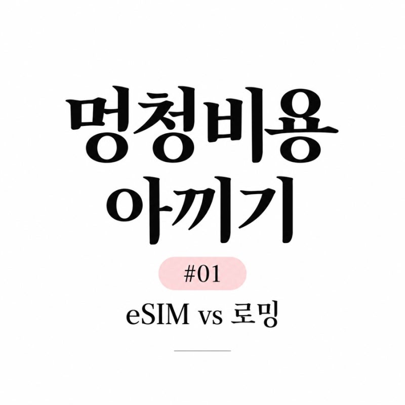 해외여행 eSIM vs 로밍 비교｜KT 로밍 15,000원 vs 이심 3,200원