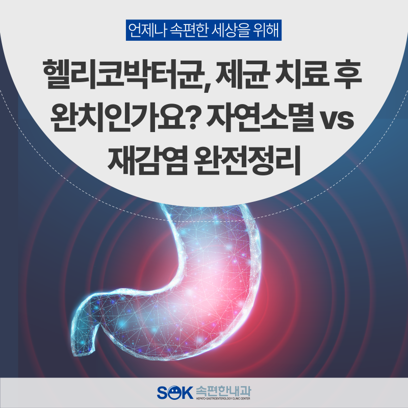 헬리코박터균, 제균 치료 후 완치인가요? 자연소멸 vs 재감염 완전정리 | 김포 풍무동 내과