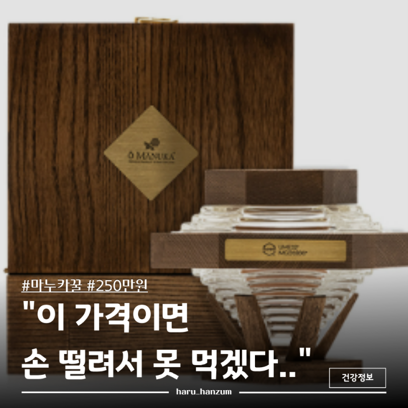 "한 숟갈에 대체 얼마야?" 냉부해 나온 250만원 현빈 꿀 효능 뭐길래