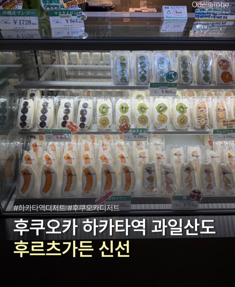 후쿠오카 하카타역 디저트 신SUN 신선산도 찾아가는 법 웨이팅 후기 망고 메론 과일산도 내돈....