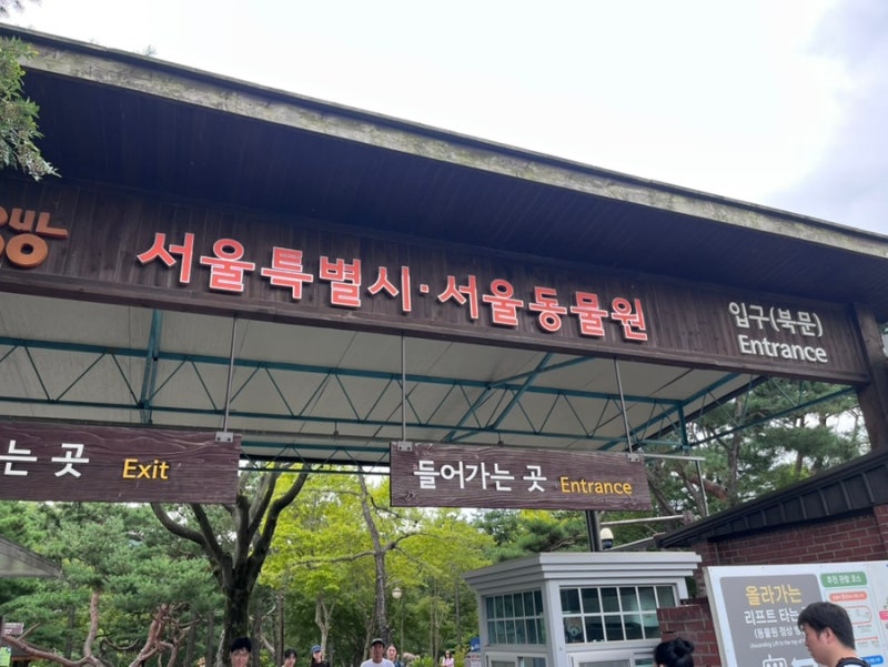 아이와 서울대공원 동물원오후 4시에 갔다가 깨달은 꿀팁(+리프트, 유모차, 추천 동선)