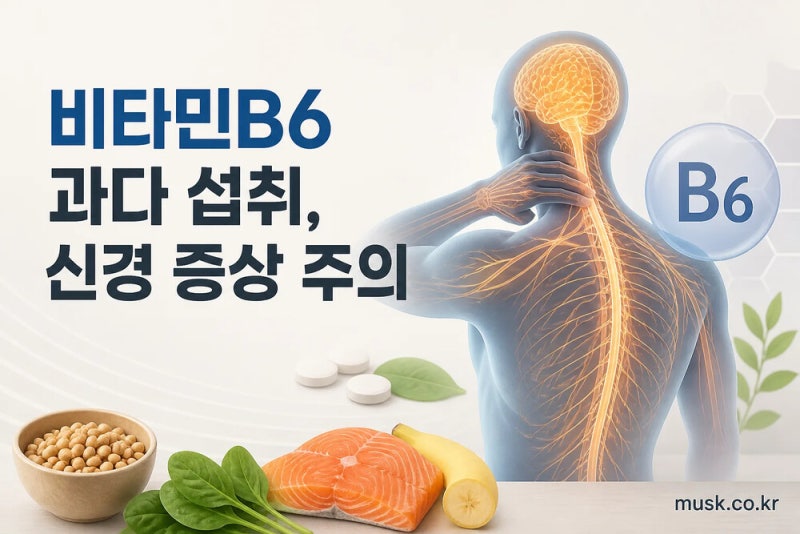 비타민B6를 많이 먹으면 생길 수 있는 문제는 무엇일까