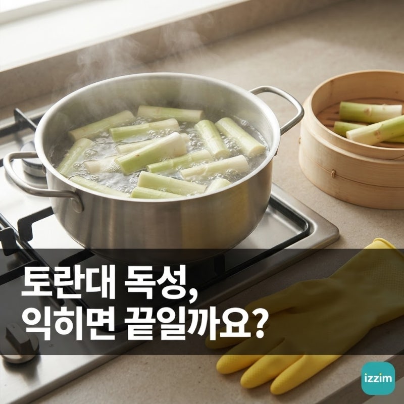 토란대 독성, 익히면 끝일까요? ｜ 확인할 5가지